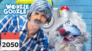 Warum haben wir einen Kalender I WOOZLE GOOZLE [upl. by Baxie]