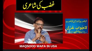 MAQSOOD WAFA AT MAQSOOD CORNER IN USA  SHORTS [upl. by Beauregard]