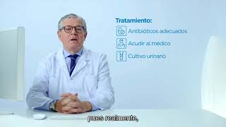 Cistitis Tratamiento ¿Cómo remediar la infección de orina [upl. by Aeneg]