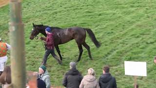 P2P  Kilworth  17 Mar 2024  R1 Goffs Aintree Sale 4yo Maiden [upl. by Lamb]