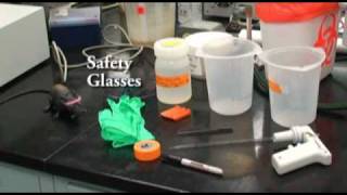 Protein Purification with Dialysis Tubing [upl. by Anoli]