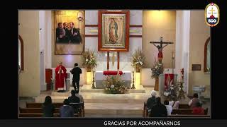 EN VIVO Celebración Eucarística San Josafat Obispo y Mártir [upl. by Nnaecarg]