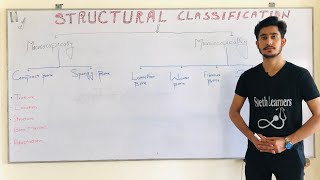 Structural Classification of Bones Bone part 4 BD Churasiachapter 2General AnatomyDr Anees [upl. by Enileoj381]