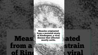 Facts about Measles trivia didyouknow disease healthcare [upl. by Christos]