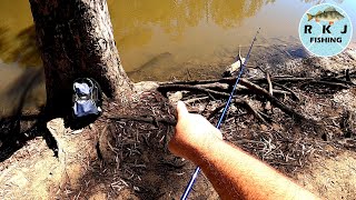 INSANE fishing in Echuca [upl. by Silin]