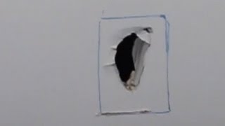 how to repair a hole in the wall cheap way only plaste board [upl. by Eadahc]