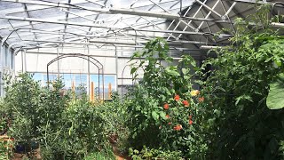 Grow Ceres  Vegetable Planting Schedule in a YearRound Solar Greenhouse [upl. by Anel757]