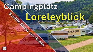 Campingplatz Loreleyblick am Rhein Urlaub im Land der Burgen Weinberge und wunderschönen Orten [upl. by Kcorb]