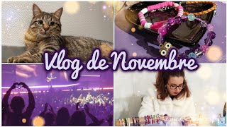 MONTHLY VLOG NOVEMBRE 2023  Préparation de Noël chats et notre 1er concert  ♥ [upl. by Miner]