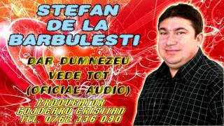 Stefan de la Barbulesti  Dar Dumnezeu vede tot Oficial Audio [upl. by Thorn379]