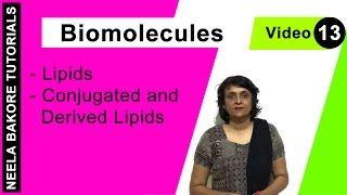 Biomolecules  NEET  Lipids  Conjugated and Derived Lipids  Neela Bakore Tutorials [upl. by Restivo]