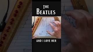 Beatles on the lap harp harpmusic lapharp beatlescovers [upl. by Kirtley465]