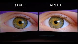 Samsung Odyssey OLED G8 G80SD vs Asus PG32UQX  32quot QDOLED vs MiniLED HDR Comparison [upl. by Anialed356]