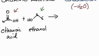 Organic reactions Condensation [upl. by Henarat264]