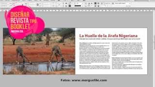 Diseño de revista tipo booklet o cuadernillo en Indesign [upl. by Heffron553]