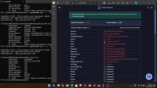 SigCheck  Sysinternals Suite part 2  Navybird [upl. by Ettennyl]