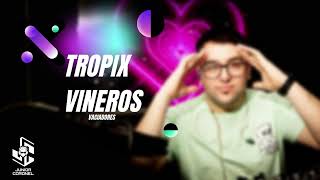 TROPIX VINEROS PARA PREVIA  PARTE 1  DJ JUNIOR CORONEL 2024 [upl. by Leahcin]