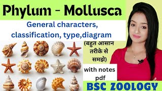 phylum mollusca Mollusca phylum bsc 1st year zoology knowledge adda lion batch characters type [upl. by Namielus]