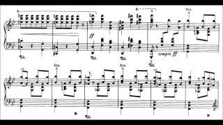 SaintSaëns  Liszt Danse Macabre Op40S555 Cohen [upl. by Etnaihc]