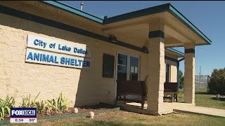 Lake Dallas permanently closes its animal shelter [upl. by Torry866]