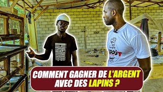 Elevage de Lapins  un business TRES rentable mais peu connu [upl. by Meeharbi]