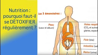 Nutrition pourquoi faut il se détoxifier régulièrement [upl. by Urias]