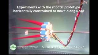 Octopusinspired Eightarm Robotic Swimming by Sculling [upl. by Enaenaj661]