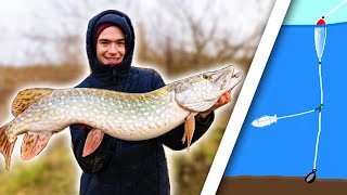 How To Catch Big River Pike  The Paternoster Rig [upl. by Dollar921]