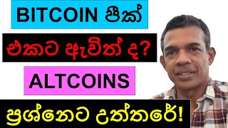 BITCOIN පීක් එකට ඇවිත් ද  ALTCOIN ප්‍රශ්නෙට උත්තරේ [upl. by Aym]