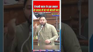 Tejashwi Yadav के इस सवाल से सदन में सब रह गए हैरान tejashwiyadav nitishkumar rjd jdu bjp [upl. by Suirtemed]