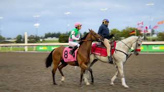 Gulfstream Park Replay Show  October 27 2024 [upl. by Latrell574]