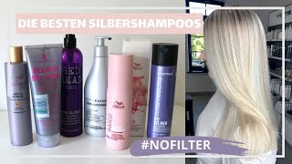 Silbershampoos im Vergleich  DAS sind die BESTEN [upl. by Rennoc]