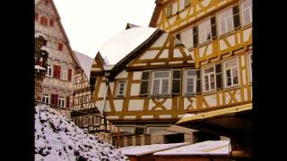 Herrenberg Germany Christmas Market 1 of 2 [upl. by Pardew218]