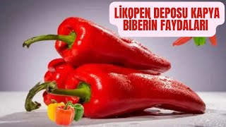 KAPYA BİBERİN FAYDALARIKAPYA BİBERİN AZ BİLİNEN 10 FAYDASIKAPYA BİBER BUZLUKTA NASIL SAKLANIR [upl. by Eserahs763]