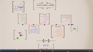 جولة في محتوى مقرر وظائف أعضاء النبات [upl. by Sisto]