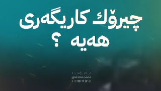 چیرۆك كاریگه‌ری هه‌یه‌ ؟1513 [upl. by Oiril265]