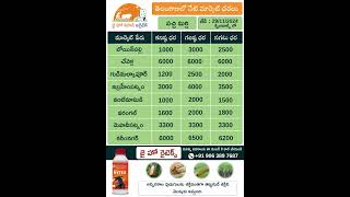 jhk market rate updates  Today Market Prices of Greenchilli amp Tomato in telangana  JaiHoKisan [upl. by Belcher]