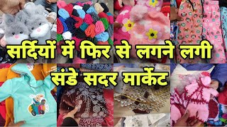 Sadar Bazar Sunday Patri Market  दिल्ली सदर बाज़ार संडे मार्केट [upl. by Vallie]