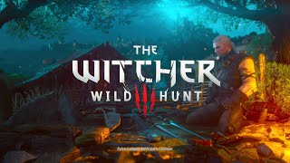 The Witcher 3 XSX  Gameplay en español  Parte 63  El secreto de Avallach y su obsesión con Ciri [upl. by Ordnajela63]