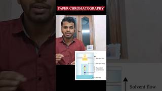 Paper chromatographytamilnotespractical experimentaminoacidsworkingprinciple chromatography [upl. by Terle]