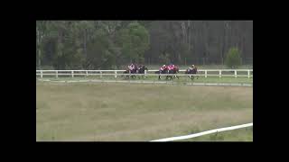 Nanango Race Club 3042021 Race 2 [upl. by Jr849]