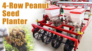 Efficient 4Row Peanut Planter in Action – Precision Farming at Its Best [upl. by Aissela]