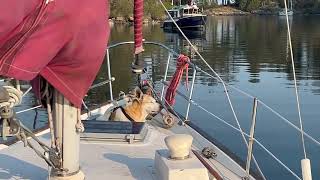 Cruising beautiful BC Smuggler Cove Sechelt Peninsula and Frenchman’s Cove [upl. by Terces]