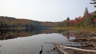 Hilly Lake  Sept 2017 [upl. by Linnea]