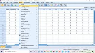 SPSS  ANALISIS DESKRIPTIF UNTUK DESKRIPSI VARIABEL HASIL KUESIONER [upl. by Eppie]