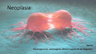 Neoplasia cancer  Pathology lecture class  part 2 [upl. by Arnold]