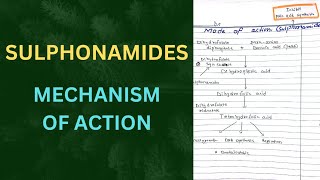 Mechanism Of Action Of Sulphonamides  Mode of action Sulphonamides MOA [upl. by Idram]