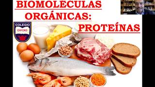 BIOLOGÍA  Biomoléculas Orgánicas Proteínas [upl. by Yremrej]