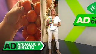 Andalucía Directo  Viernes 12 de julio [upl. by Allanson]