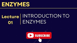 INTRODUCTION TO ENZYMES [upl. by Aikenat314]